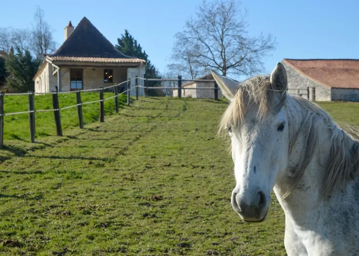 Дом отдыха Chez Jacquou Bouniagues